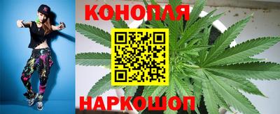 СК Волгодонск