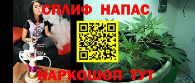 СК Волгодонск