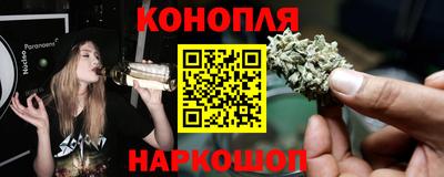СК Волгодонск
