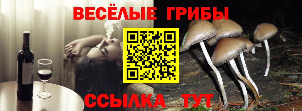 Псилоцибиновые грибы MAGIC MUSHROOMS  Вход с VPN  Юрга 